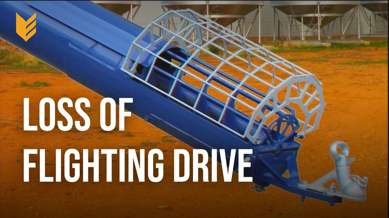 Loss of Flighting Drive